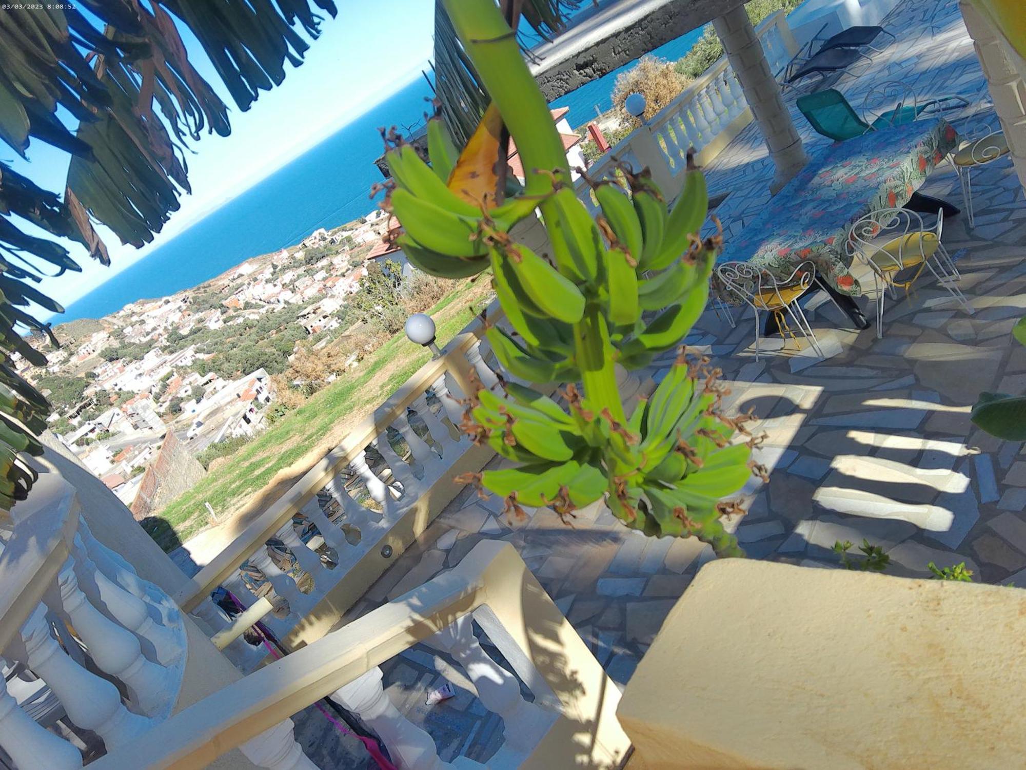 Villa Belle-Vue Tabarka Esterno foto